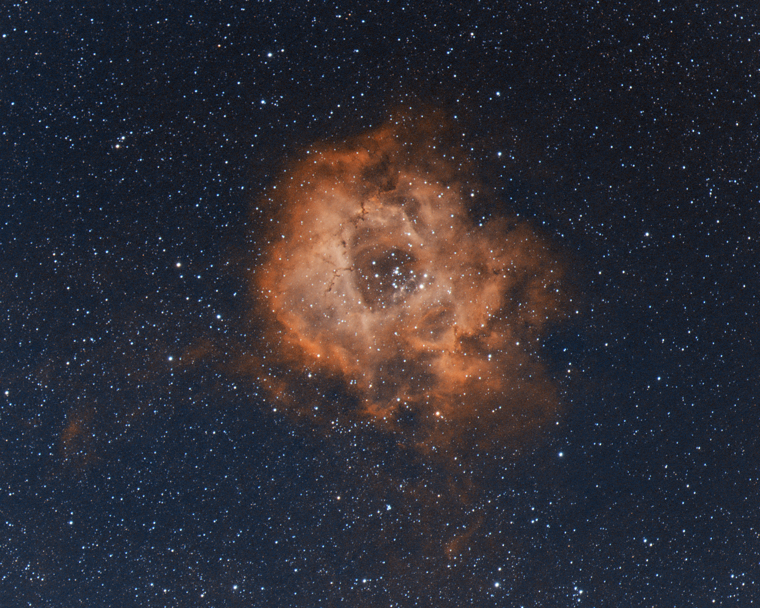 سديم الوردة